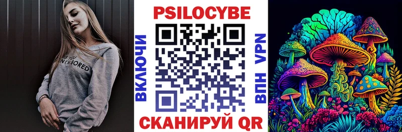 закладка  Мичуринск  Галлюциногенные грибы Psilocybine cubensis 